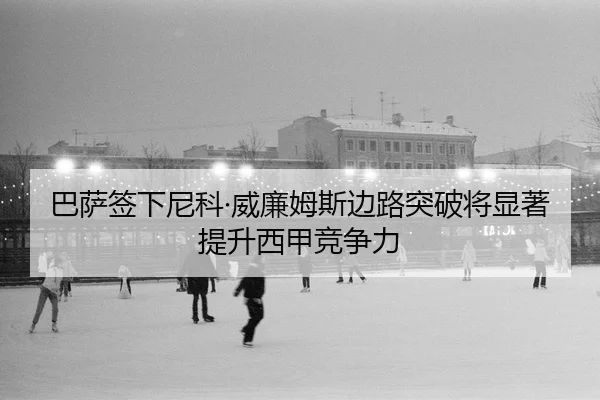 ba-sa-qian-xia-ni-ke-wei-lian-mu-si-bian-lu-tu-po-jiang-xian-zhu-ti-sheng-xi-jia-jing-zheng-li-2-208.jpg